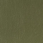 medical upholstery color swatch - ivy