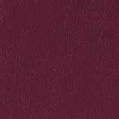 Mulberry PR41 Swatch